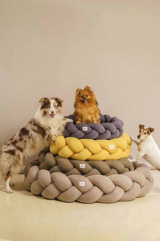 Paws & Claws Pet Beds