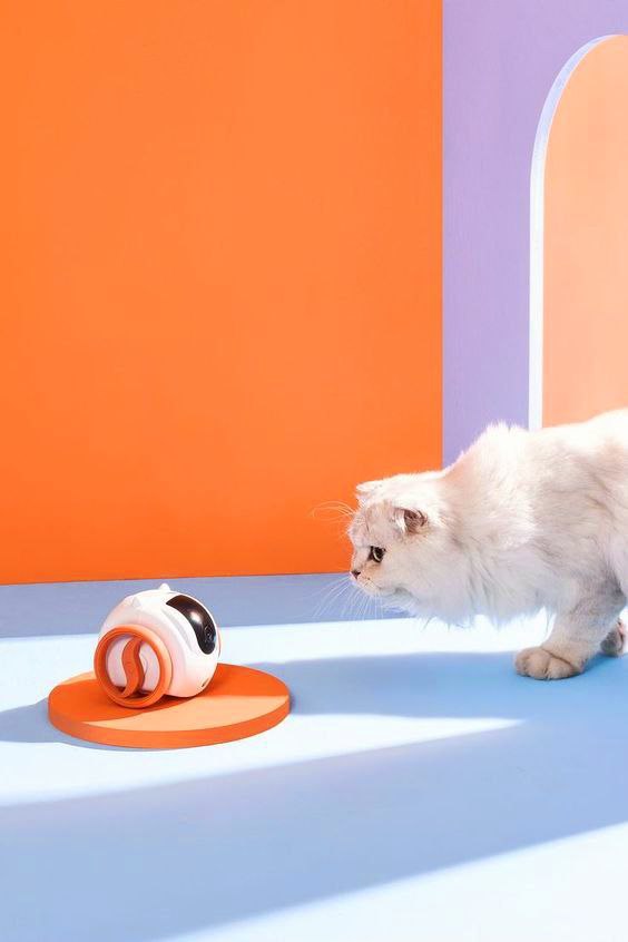 Paws & Claws Interactive Cat Toys