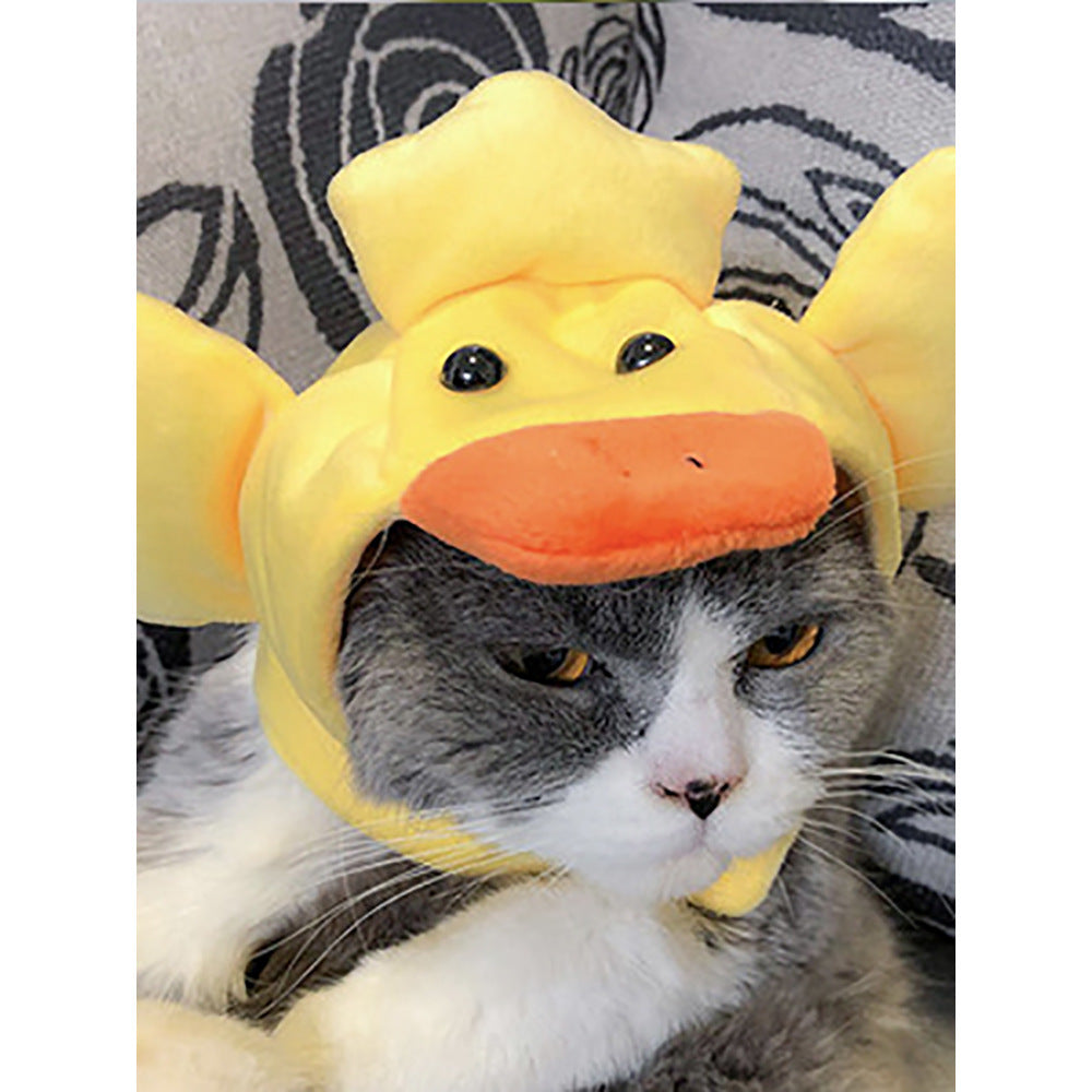 Curly Hair Pet Hat Cat Funny Dress Up Pet Products