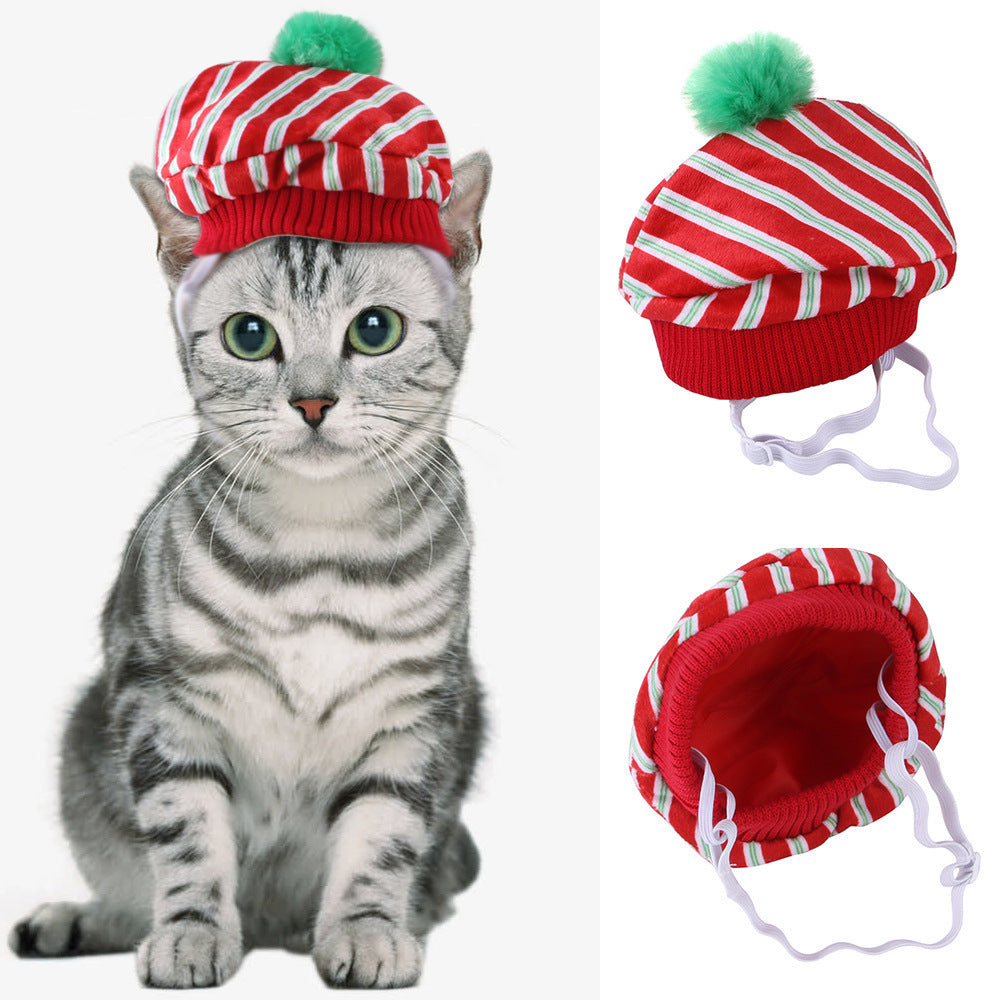 Curly Hair Pet Hat Cat Funny Dress Up Pet Products